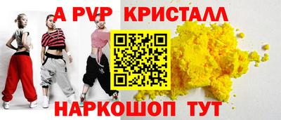 гашик Кингисепп