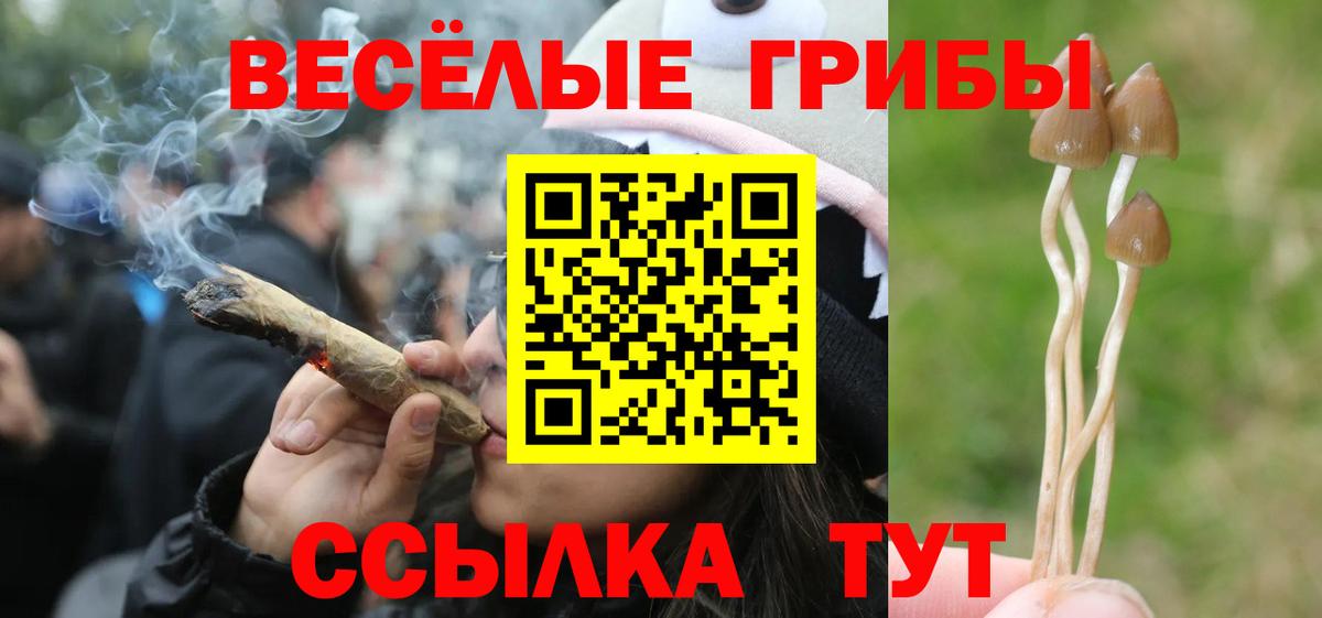 Саки  магазин  наркотиков  Псилоцибиновые грибы MAGIC MUSHROOMS  Вход с VPN  Галлюциногенные грибы GOLDEN TEACHER 
